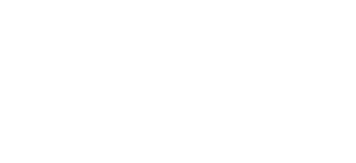aria-logo-footer